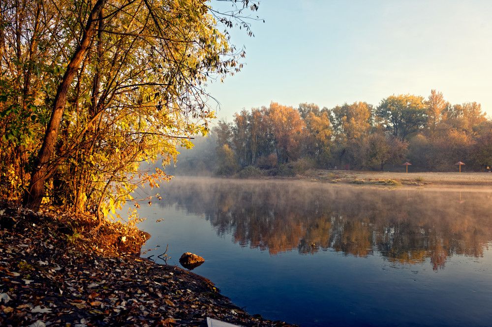 Фотография автора Алексей Григорьев