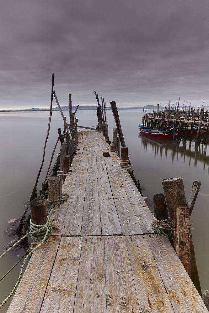 Photograph by João Freire