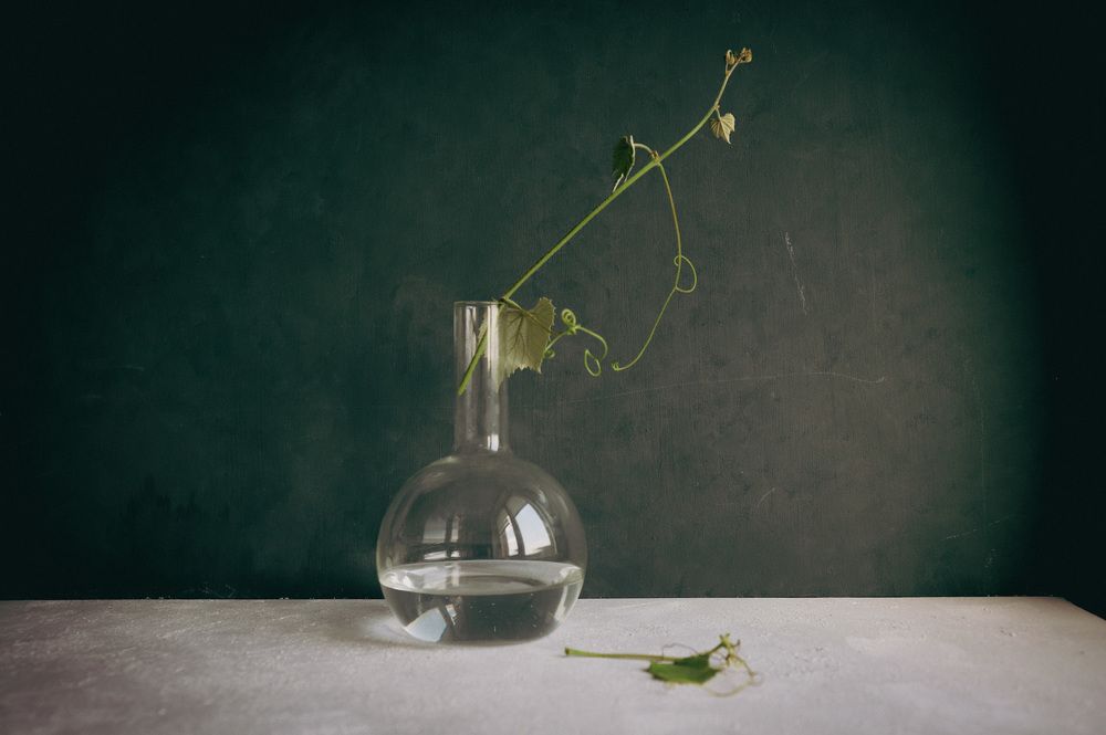 Photograph by Людмила Казак