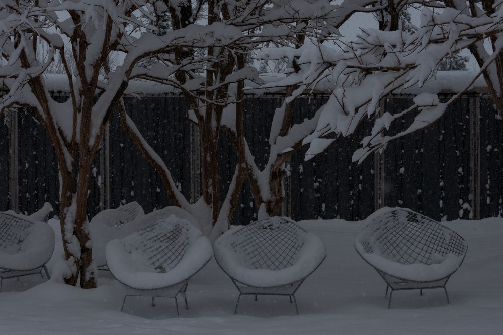 Фотопроект - парк Галицкого в разное время года