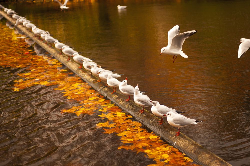 Photograph by Sentao-Toni Wng