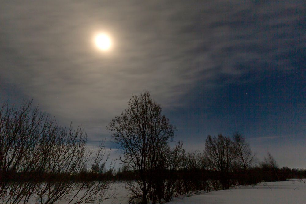 Photograph by Валентин Кузьмин