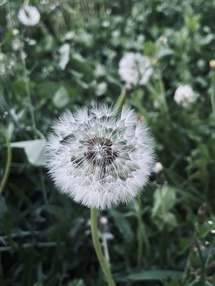 Photograph by Анна