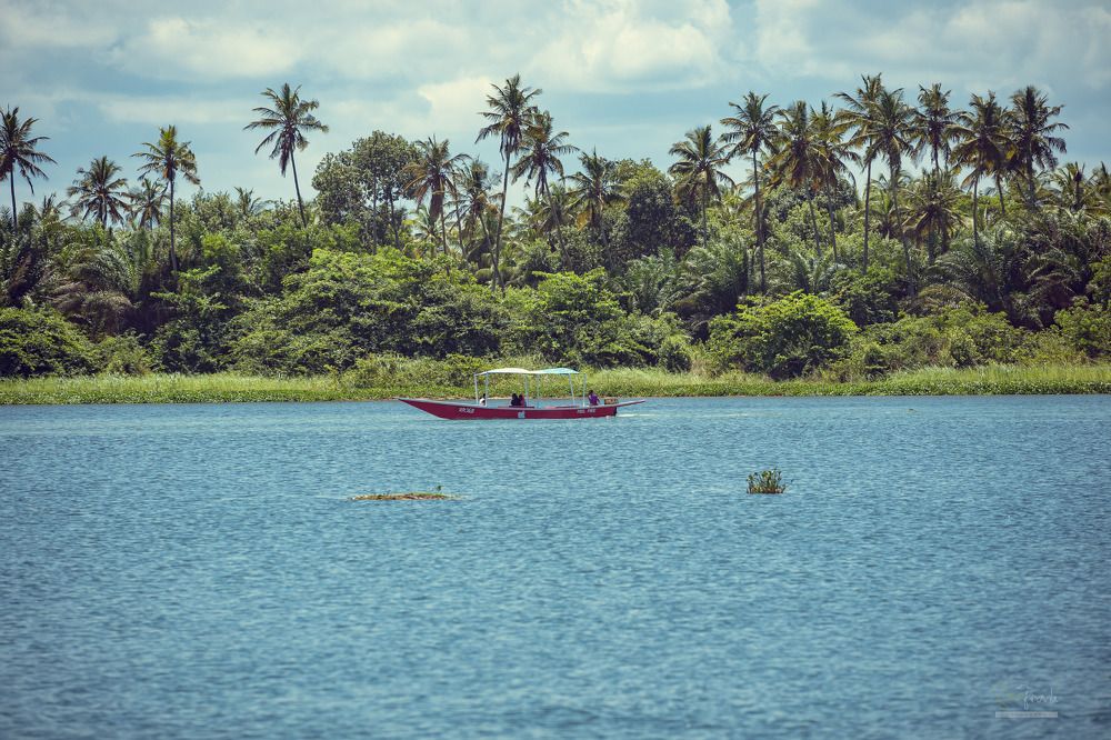 Photograph by Frank Otuah