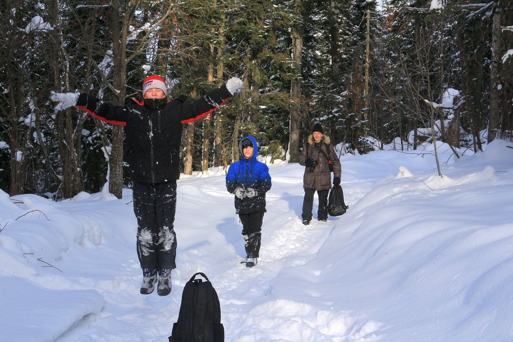Проделки сказочного леса...