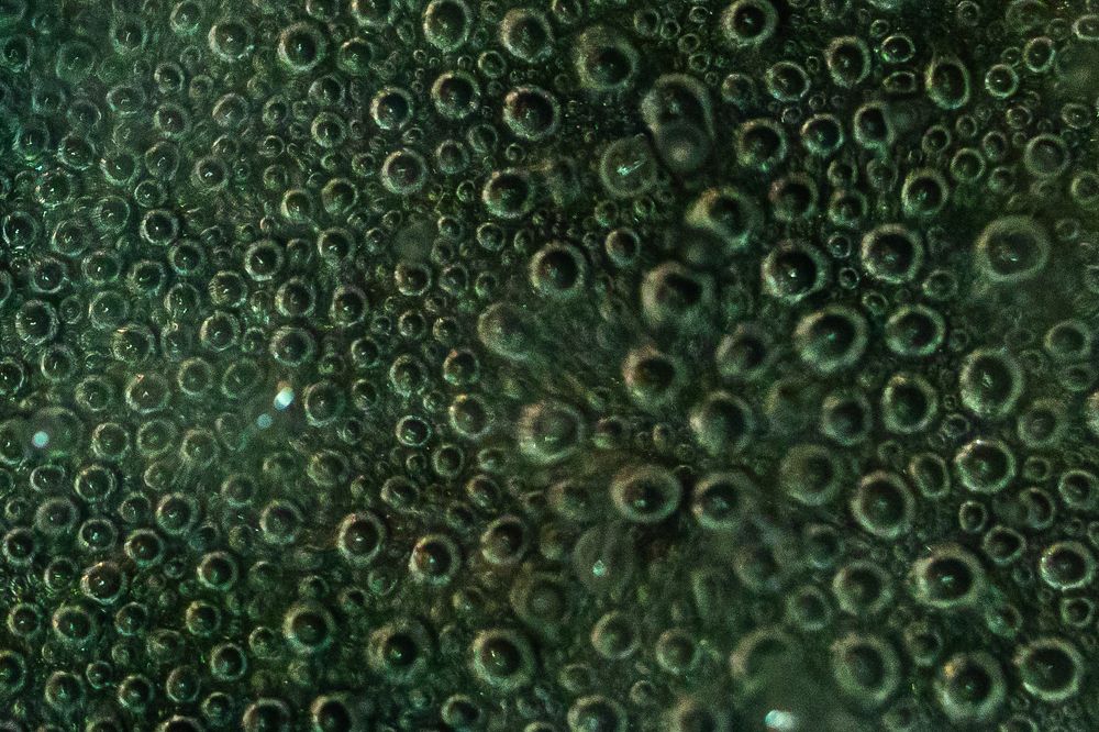 Photograph by Сторогина Марина