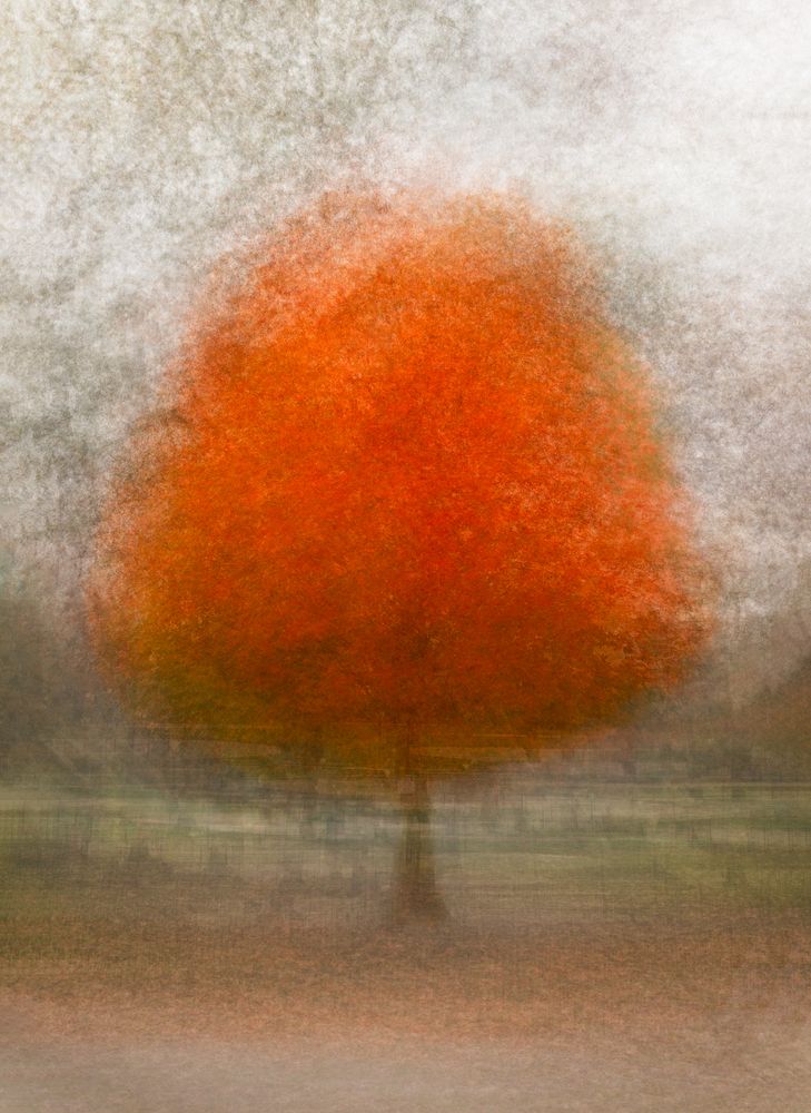 Photograph by Hilda Champion