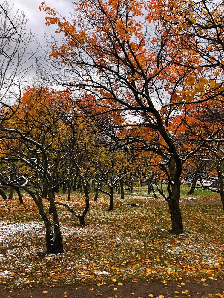 Photograph by Ксения Соснина