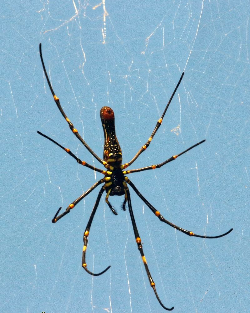 Фотография автора Amit Panchal