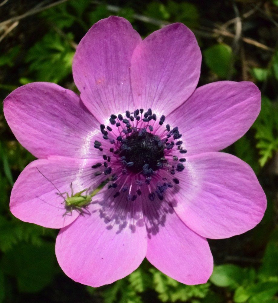 Близо до живота