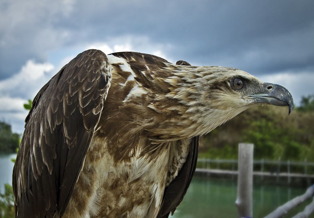 Фотография автора JOE