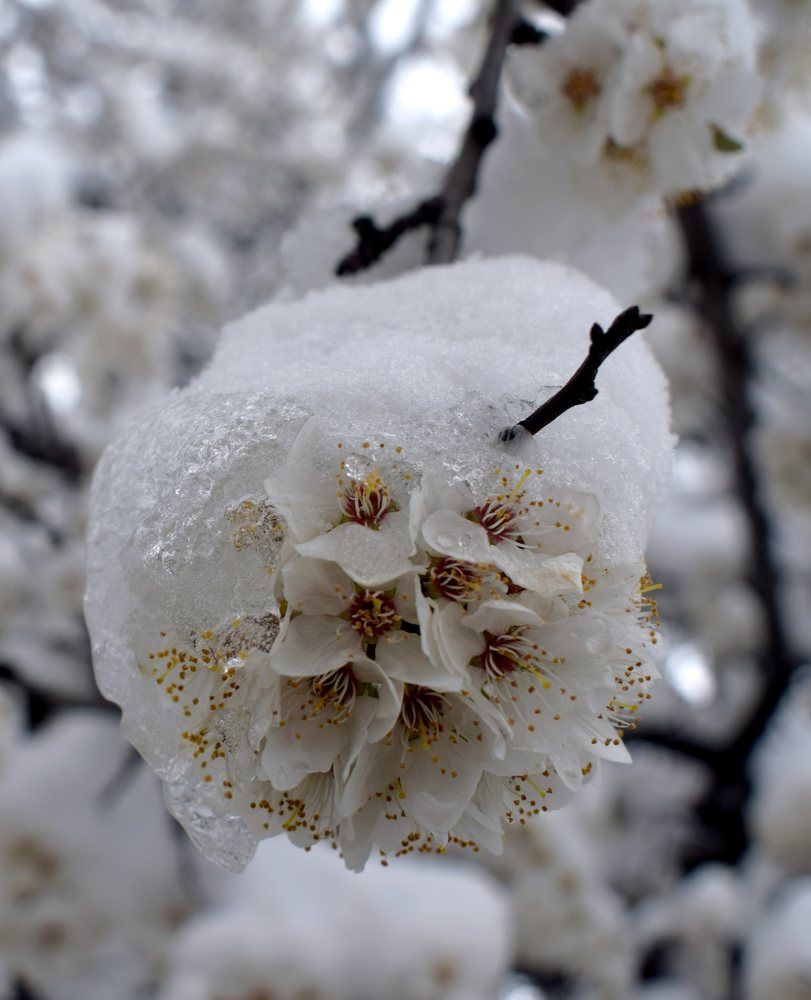 Смисълът - в макро детайлите