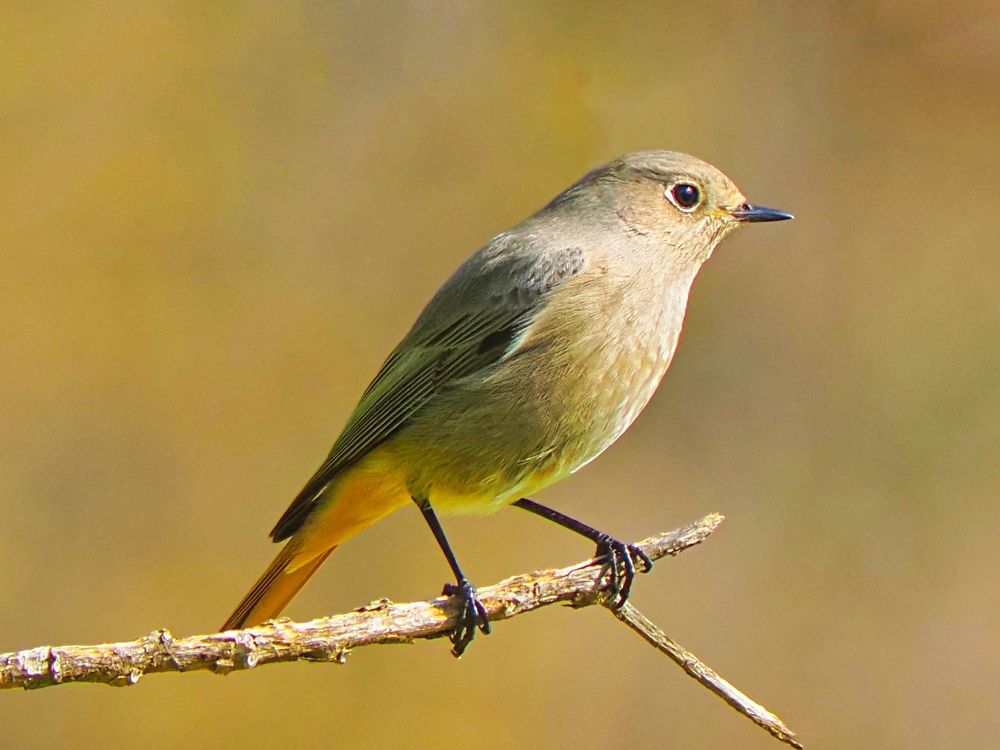 Photograph by Gotcha Biniashvili