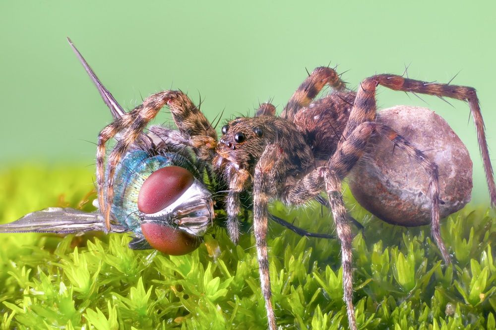 Photograph by Arts GPro