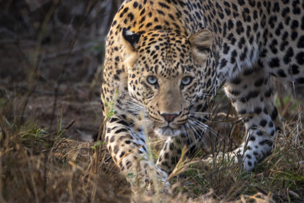 Photograph by RAJEEV JAIN