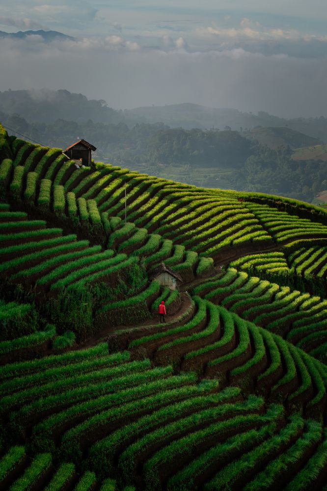 A Beautiful Terrace.