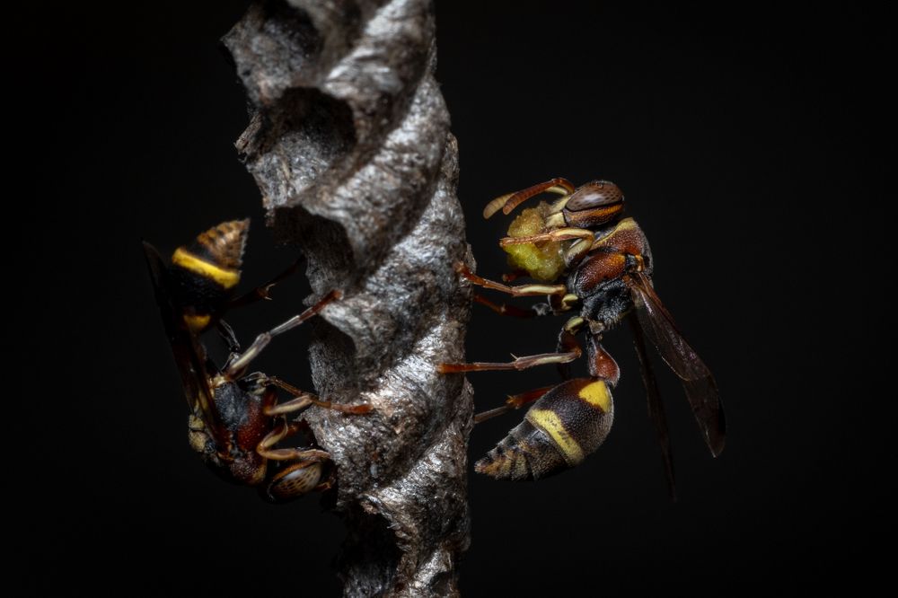 Photograph by Nicholas Ng