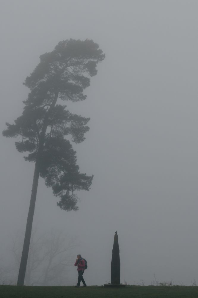 Photograph by Agnieszka Wieczorek