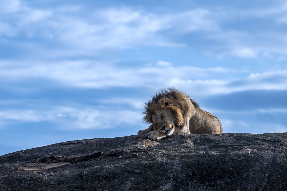 Photograph by Dilip Shah