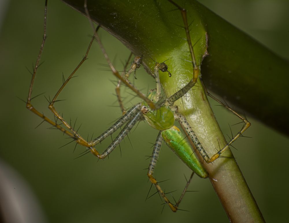 Photograph by Fernando Blancas Santos