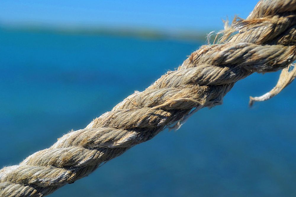 Photograph by Виктор Репников