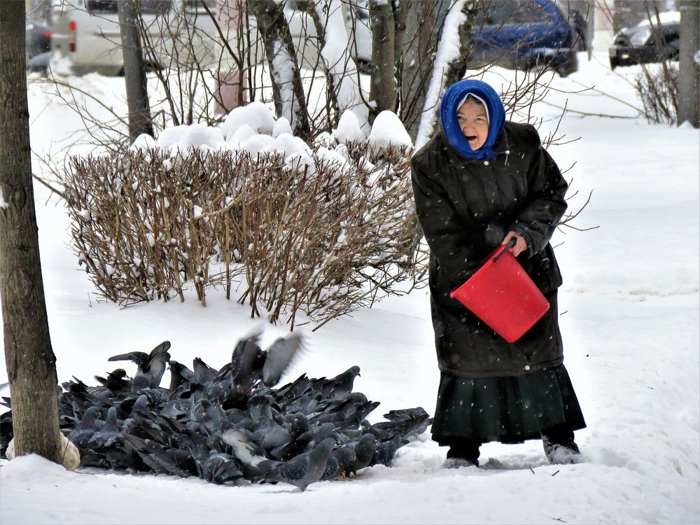 Любовь и голуби.