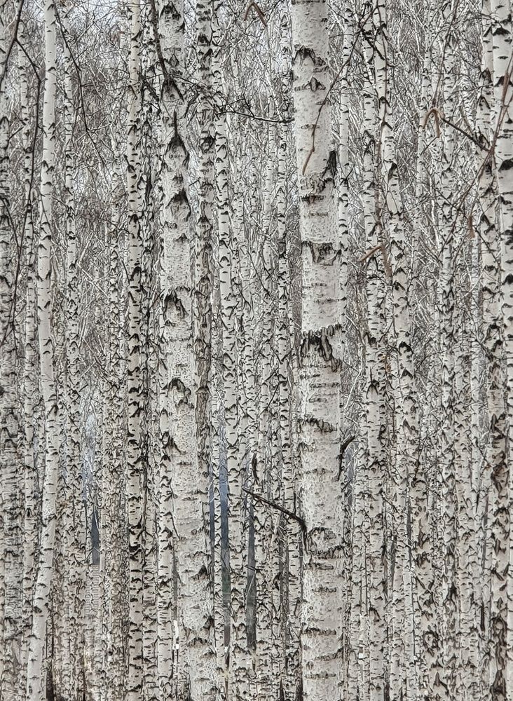 Photograph by Андрей Яковлев