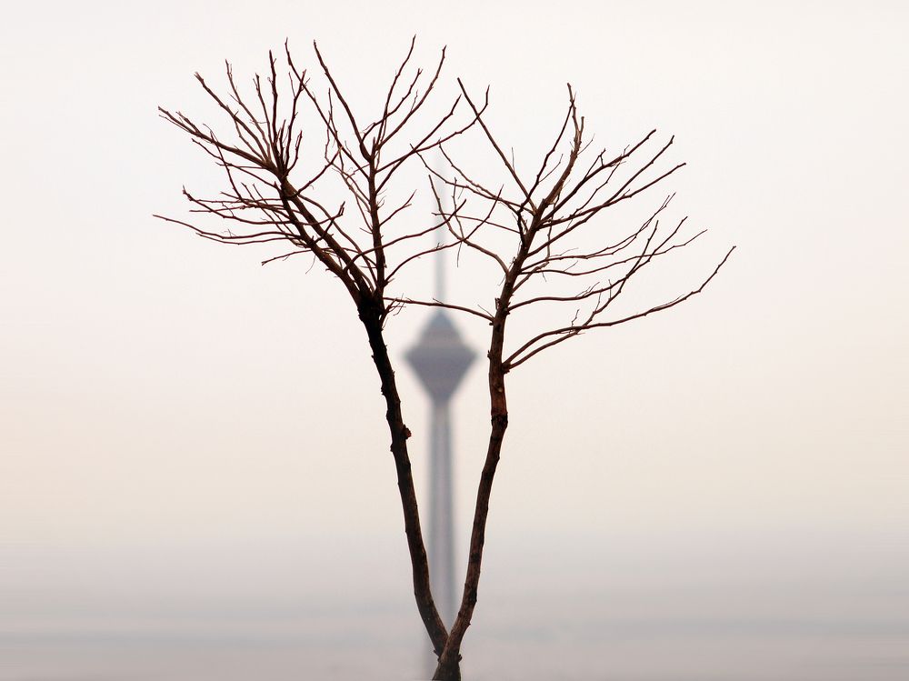 Photograph by Farid Ataei