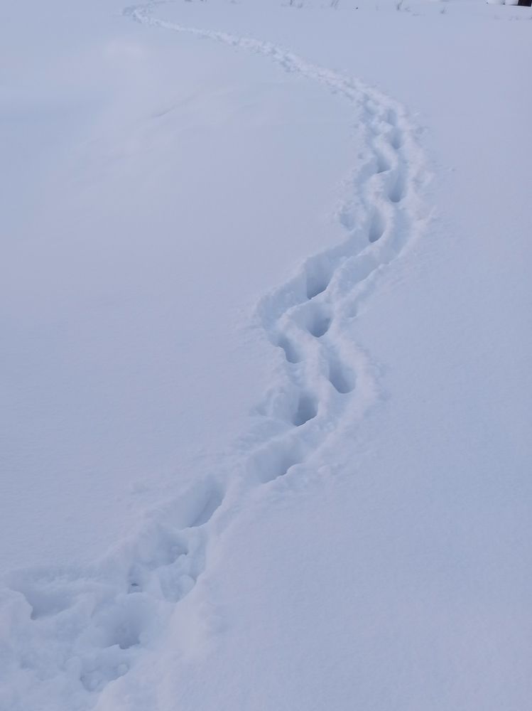 Photograph by Наталия Степанова