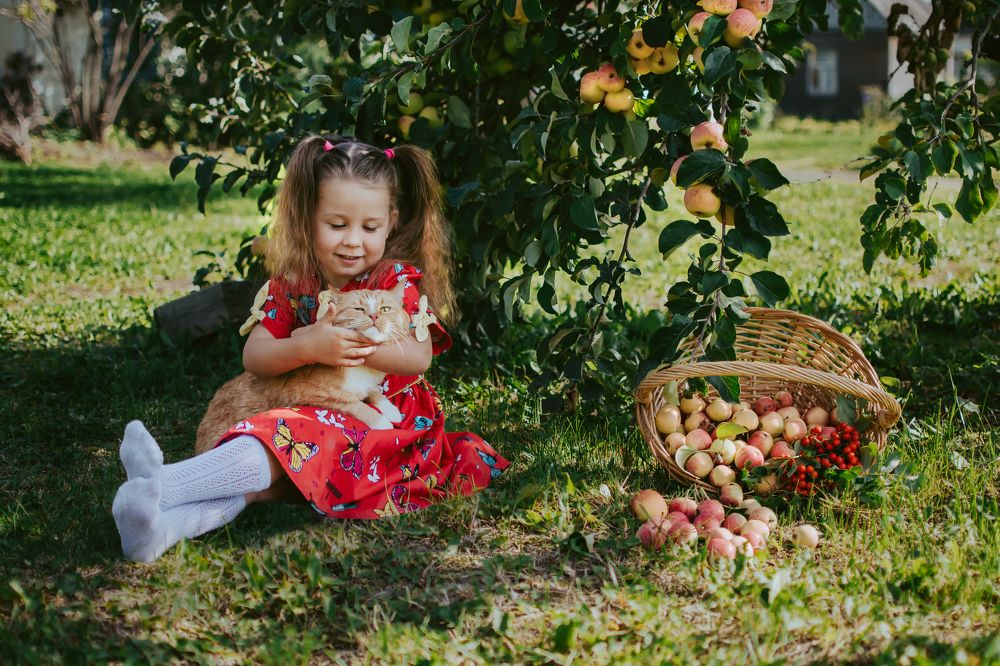 Photograph by Людмила Зяблова