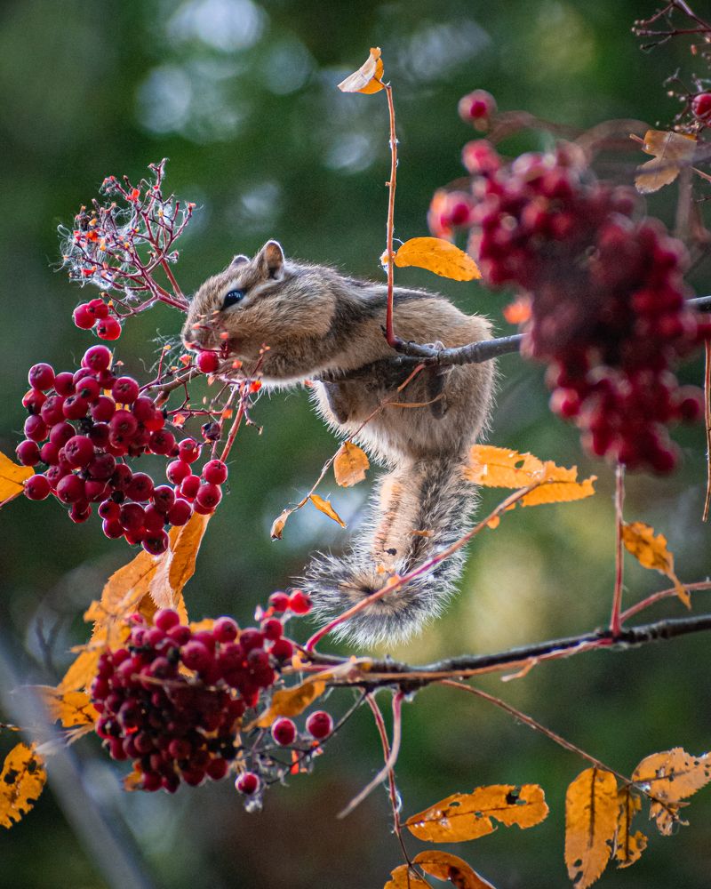 Photograph by Сергей Егоров