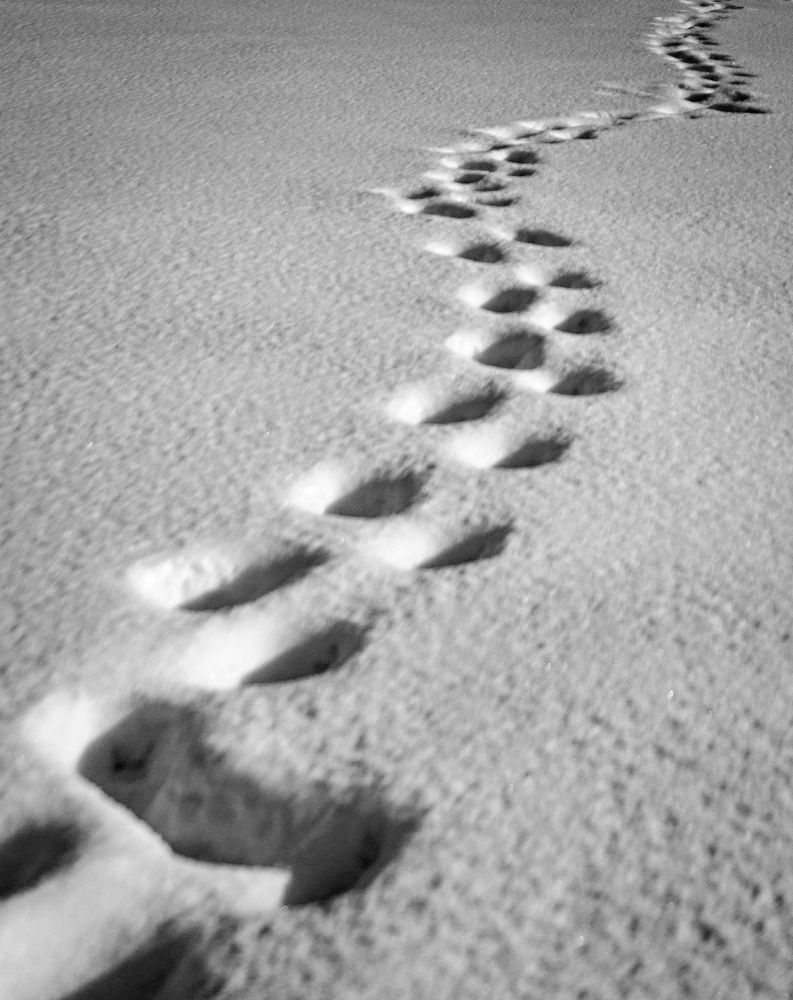 Photograph by Сергей Басов