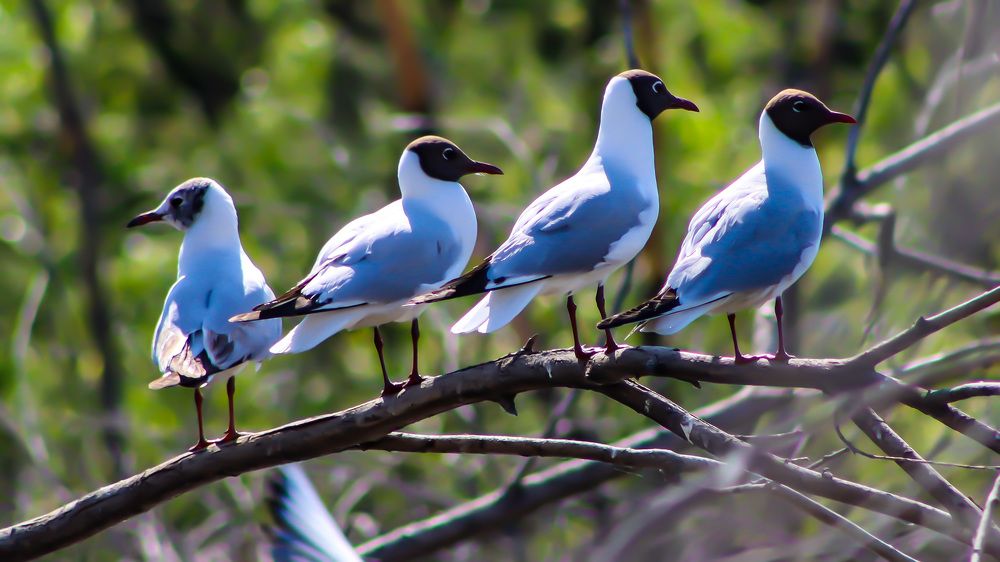 Photograph by Ирина Лисовец