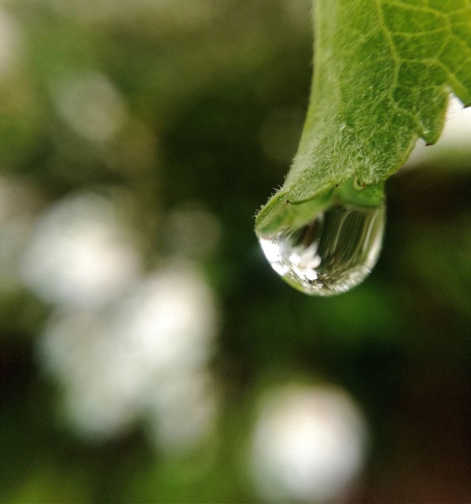 Photograph by Krystyna