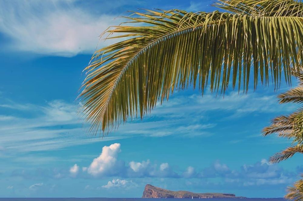 Tropical View Mauritius