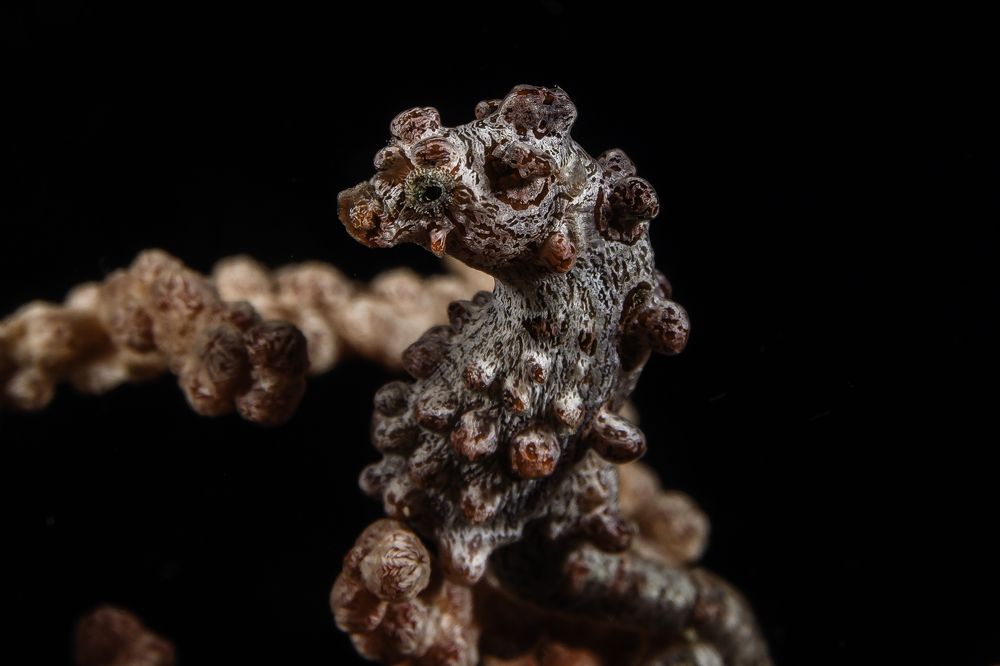 Photograph by Антонина