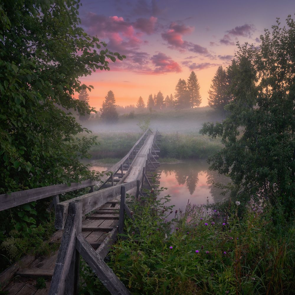 Фотография автора Дмитрий Медянцев