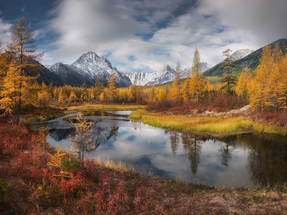 Фотография автора Дмитрий Медянцев