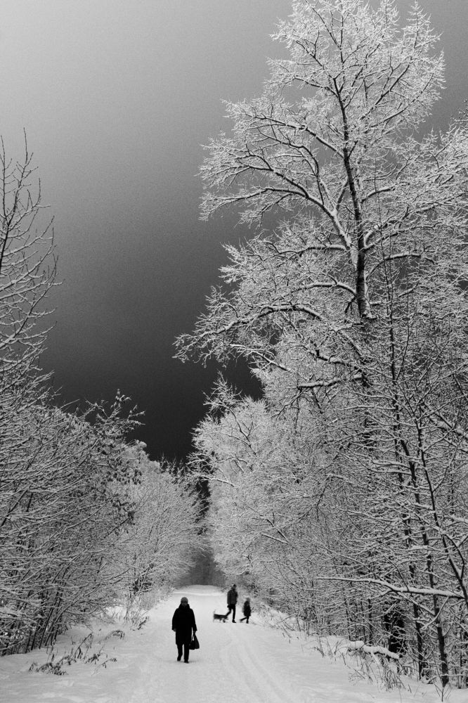 Photograph by Иван Болотов