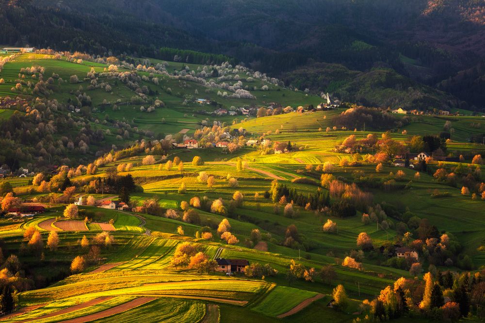 Evening in the countriside