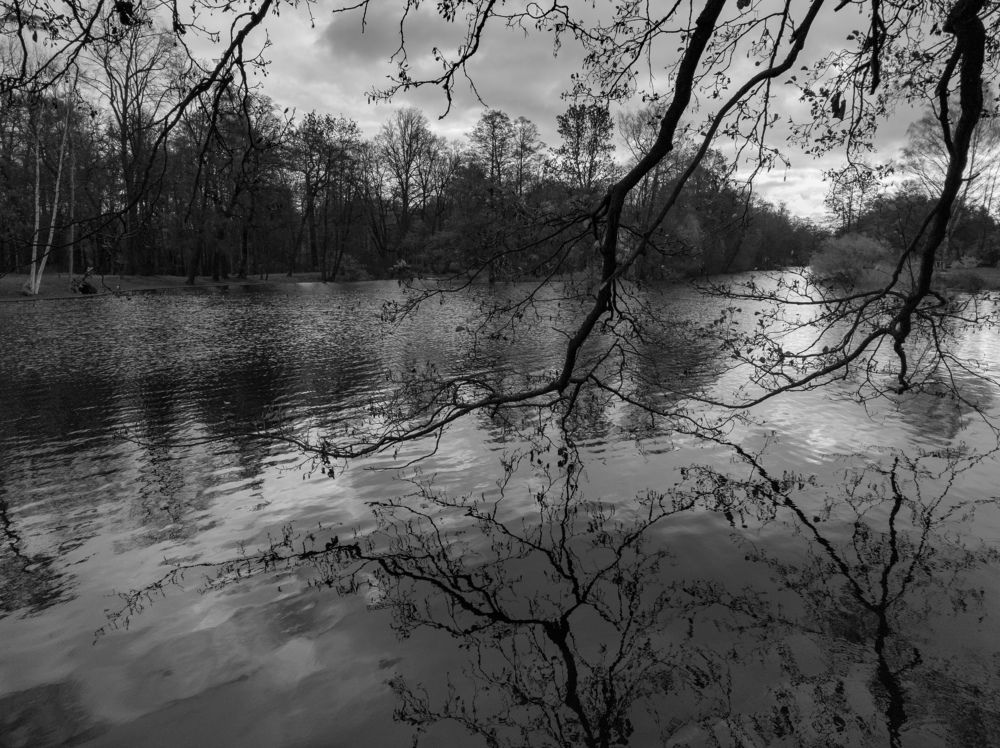 Photograph by Chic.chiquitita