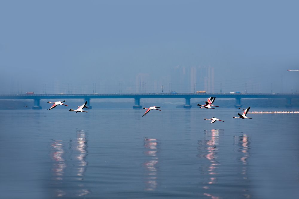 Photograph by rajesh therthala veedu