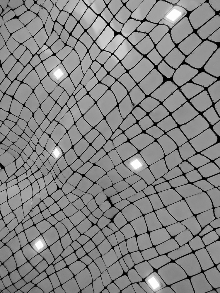 Photograph by Chic.chiquitita