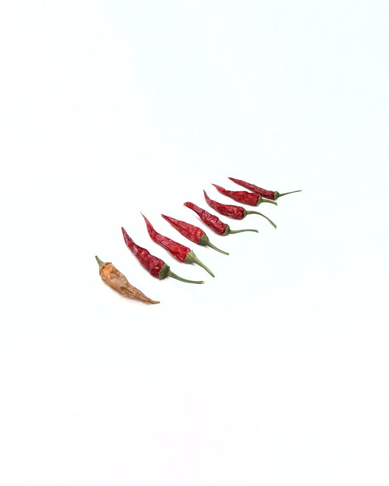 Фотография автора Olga Kunakova