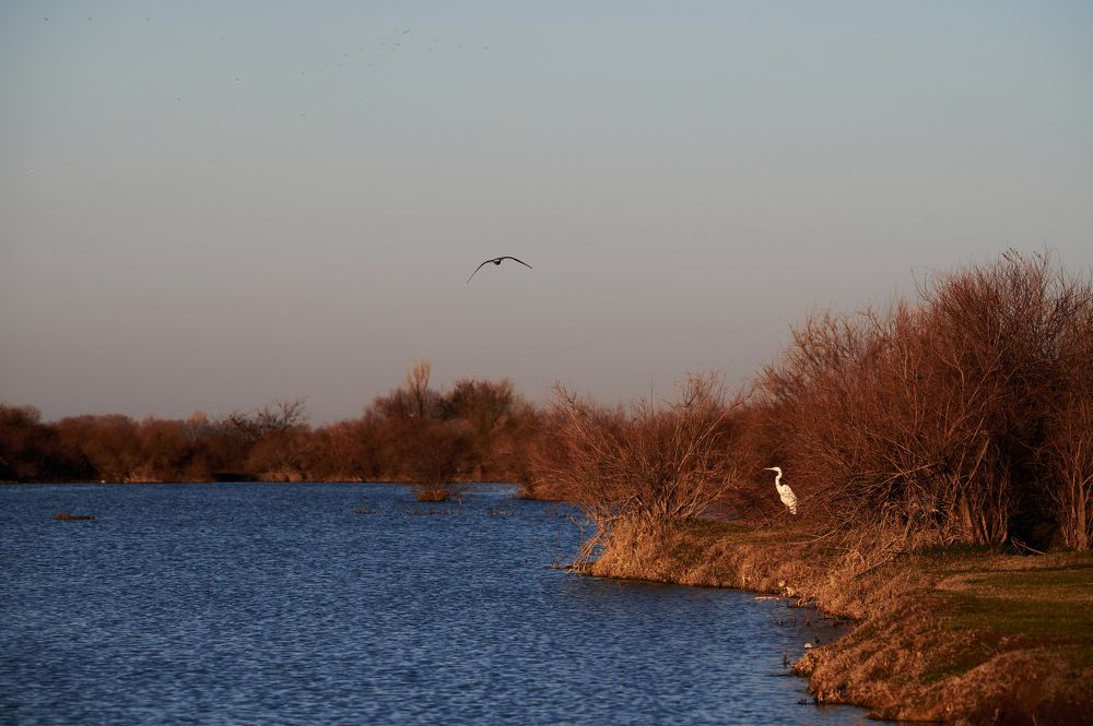 Photograph by Дмитрий