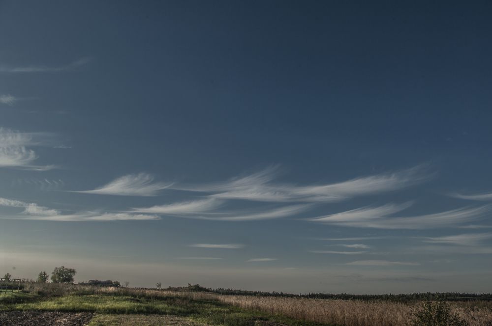 Photograph by Александр Челюканов