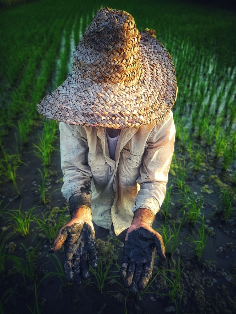 Photograph by Pourya Farajpour