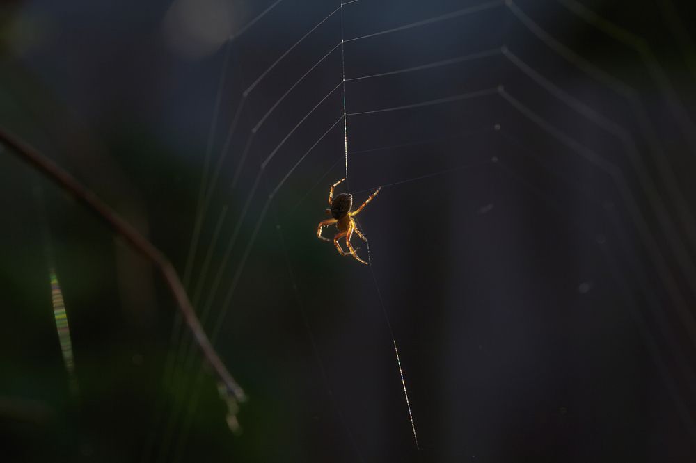 Photograph by Александр Замятин