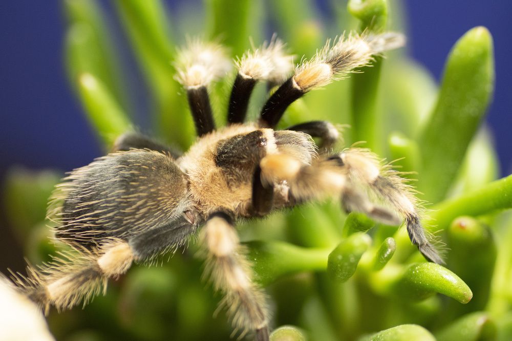 Photograph by Эльвира Быкова