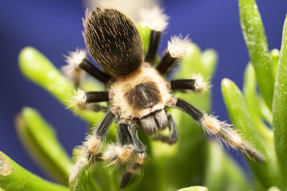 Photograph by Эльвира Быкова